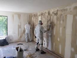 Why You Should Choose Our Mold Remediation Services in East Setauket, NY